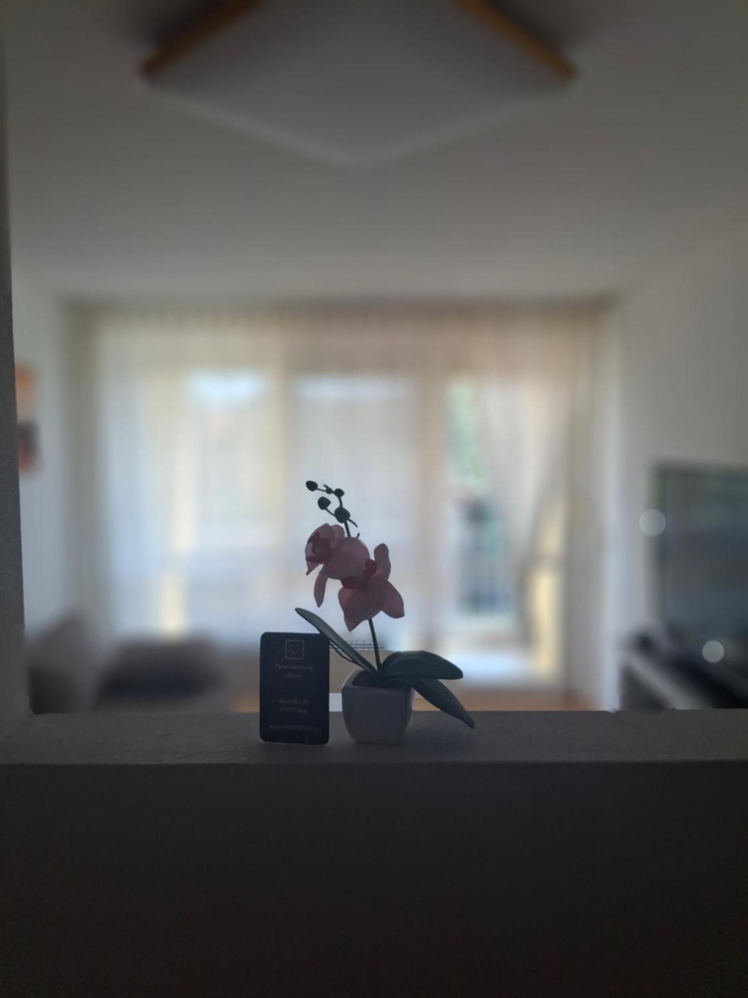 Ferienwohnung Shirin Rust Esterno foto